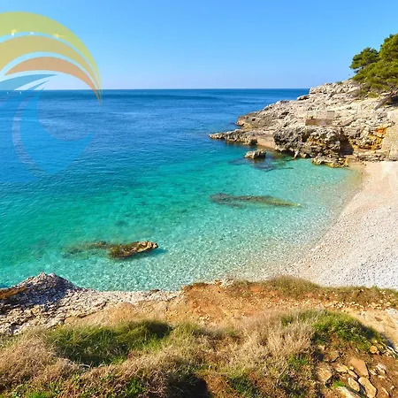 Anto 1296 Daire Pula